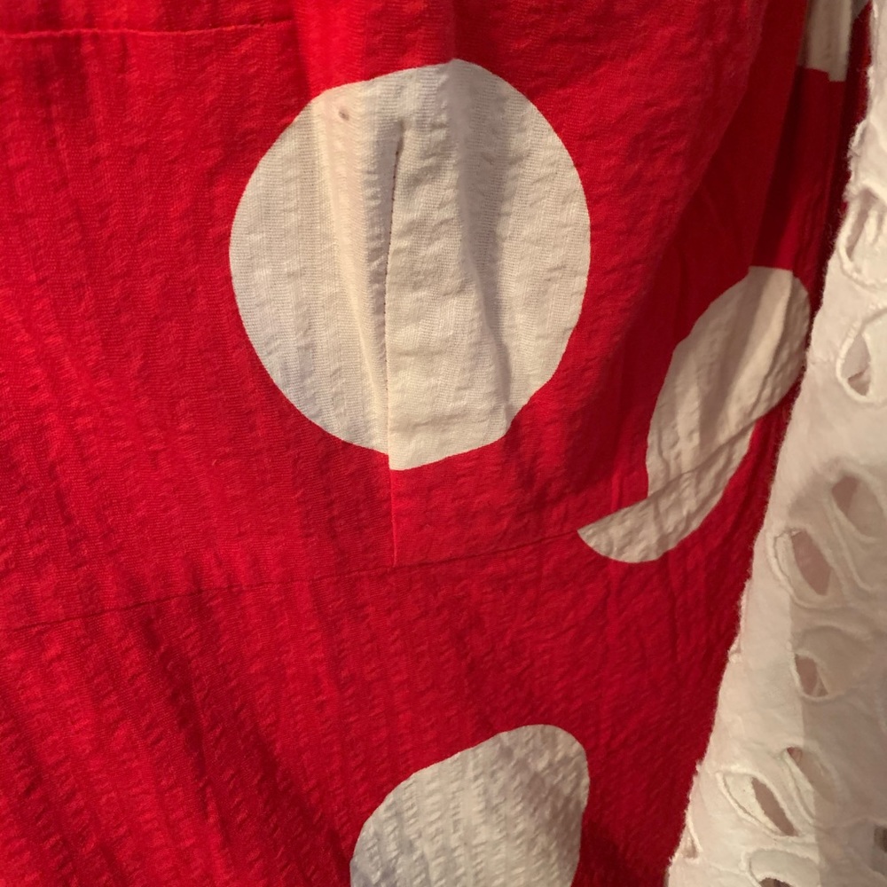 Anthropologie dress - Picture 6 of 6